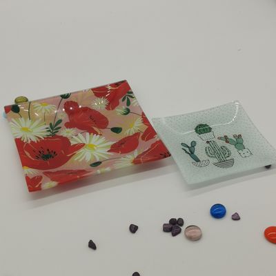 品質 カスタマイズ カラー イン カクタス グラス ディナープレート 工場